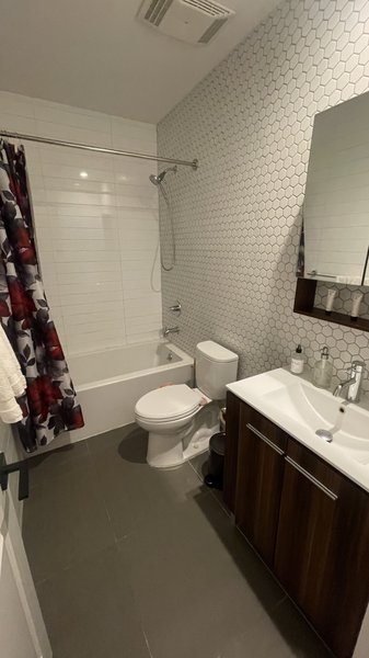 Room in Vegan House - Available 11/1 (Flexible)